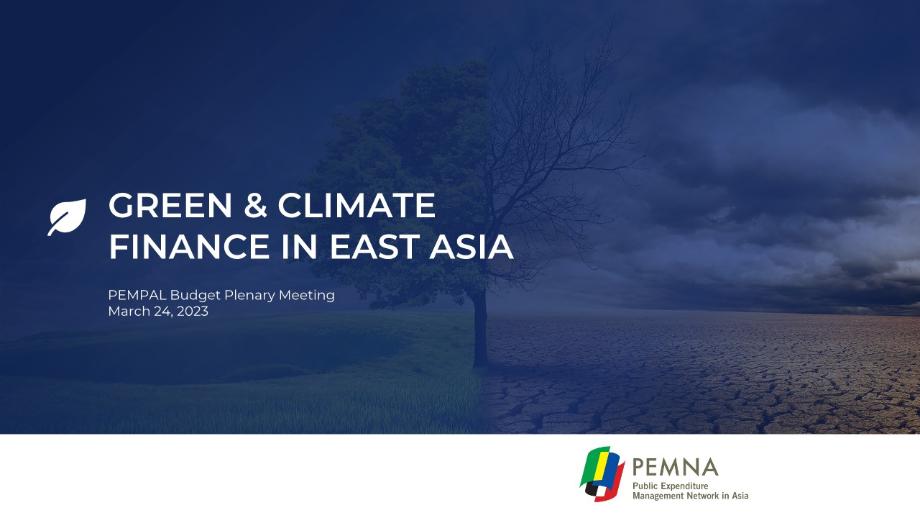 Green and Climate Finance in East Asia 이미지